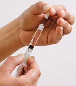 Sheep Artificial Insemination